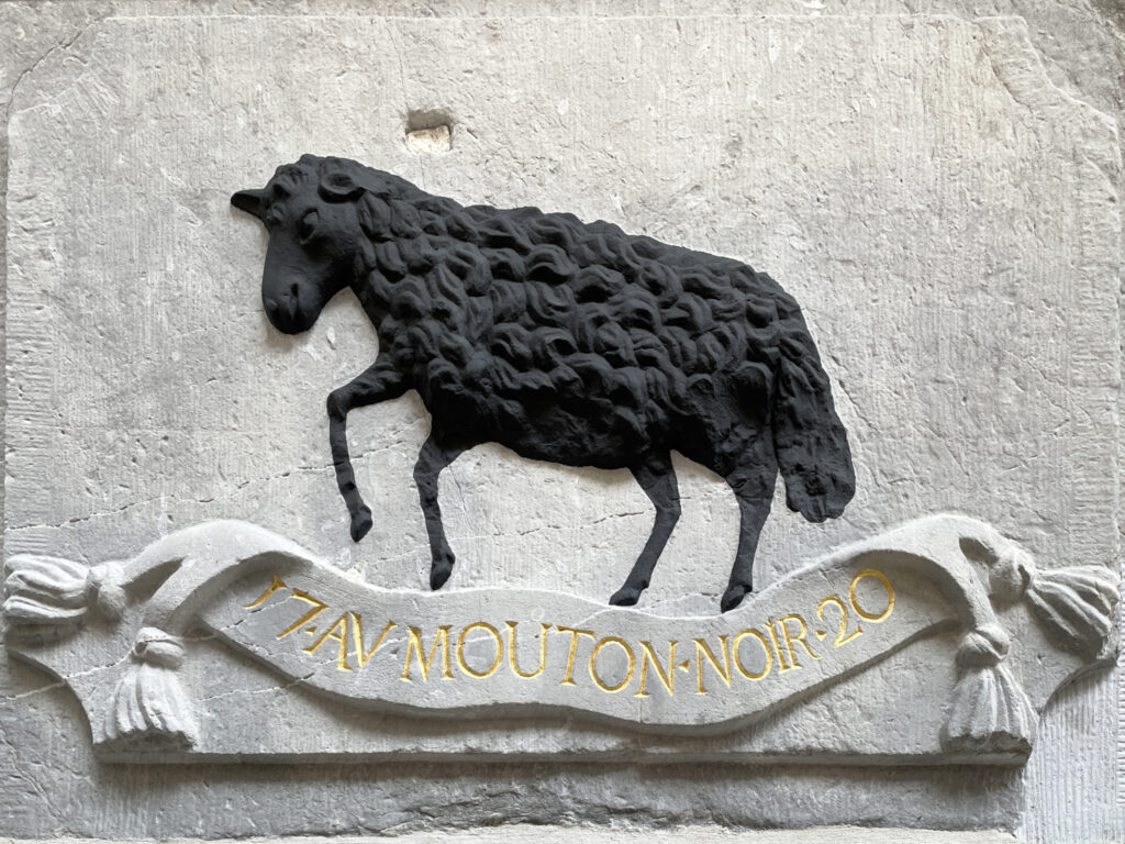 Bannière