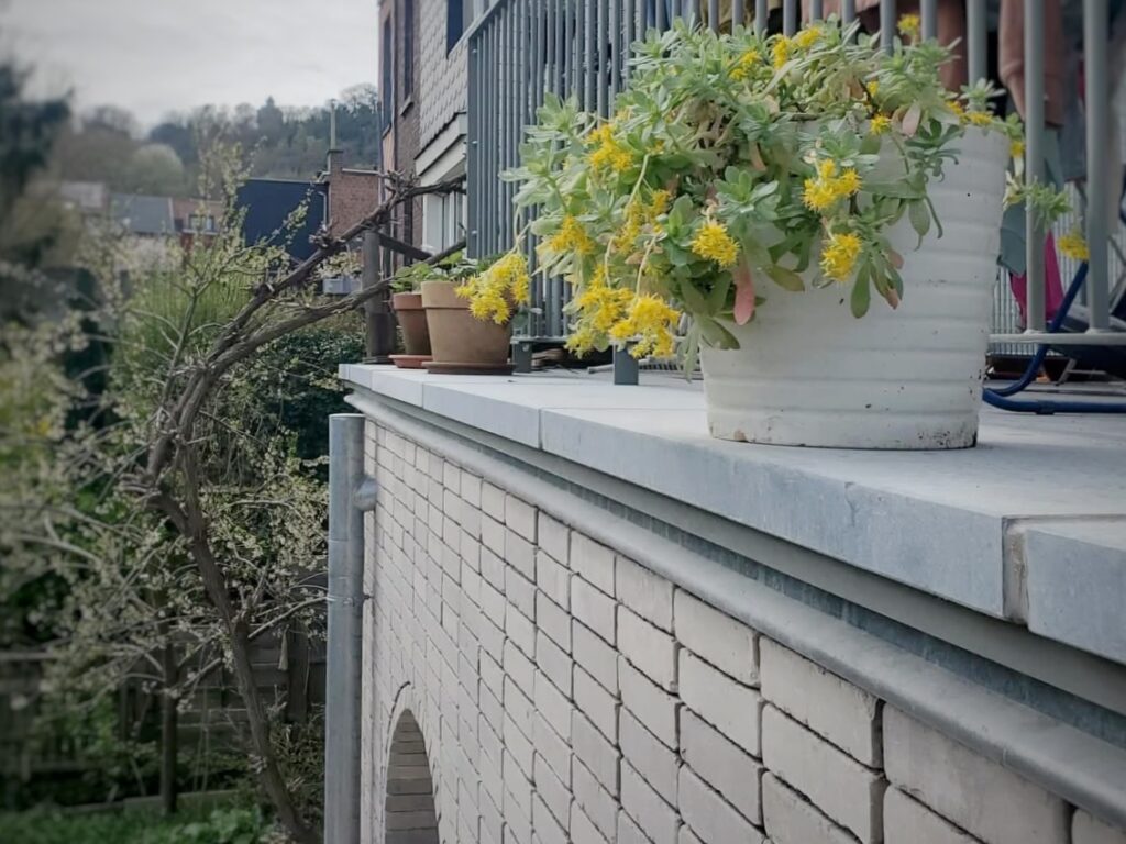 Bannière